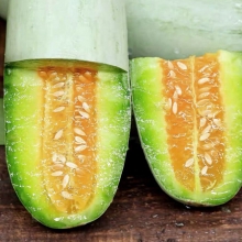 Огурдыня Мацарен