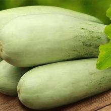 Огурдыня Мацарен