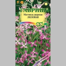 Левкой Лиловый (Маттиола двурогая)