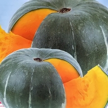 Тыква Медовая крошка