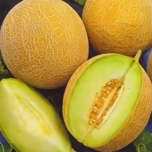 Дыня Медовая Сказка