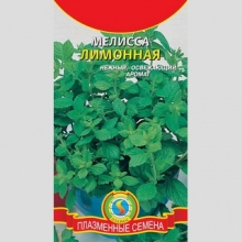 Мелисса лимонная