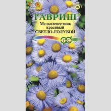 Мелколепестник Светло-голубой