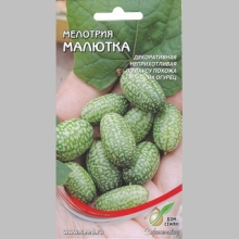 Мелотрия Малютка