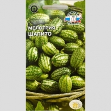 Мелотрия Шапито шершавая