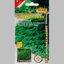 Микробиота кипарисовая