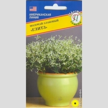 Молочай Глитз злаковый