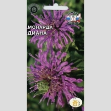 Монарда Диана лимонная