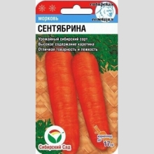 Морковь Сентябрина