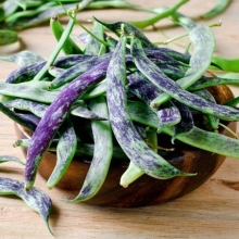 Фасоль Мраморная спаржевая кустовая (большой пакет)