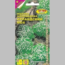 Мшанка Ирландский мох (шиловидная)