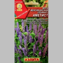 Мята Аметист (мексиканская)
