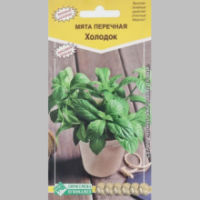 Мята Холодок перечная