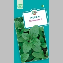 Мята Кубанская 6