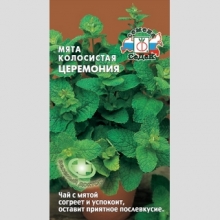 Мята Церемония колосистая