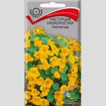 Настурция Золотой шар низкорослая
