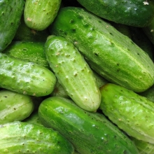 Огурец Нежинский 12