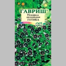 Немофила Готика