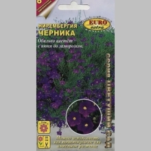 Нирембергия Черника