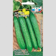 Огурец Шуберт ® F1