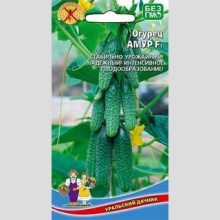 Огурец Амур F1