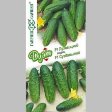 Дуэт Огурец Луховицкий F1 + Суздальский F1