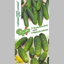Дуэт Огурец Папенькина дочка F1 +Маменькин любимчик F1