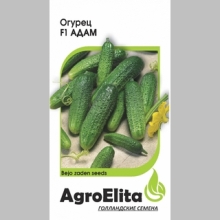 Огурец Адам F1 (Бейо)