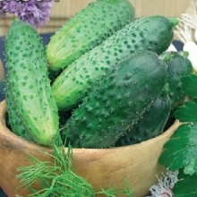 Огурец Бочковой Засол