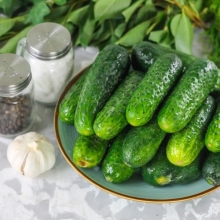 Огурец Бочковой F1