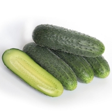 Огурец Энеж 21 F1