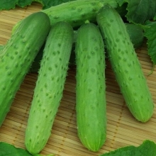 Огурец Флагман F1