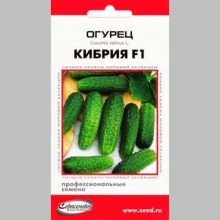 Огурец Кибрия F1