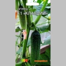 Огурец Клавдий F1