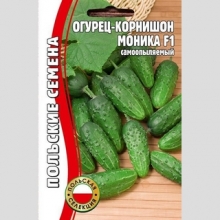 Огурец Моника F1 (большой пакет)