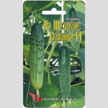 Огурец По Щучьему велению F1