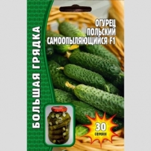 Огурец Польский Самоопыляющийся F1 (большой пакет)