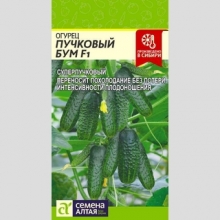 Огурец Пучковый Бум F1
