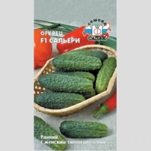 Огурец Сальери F1
