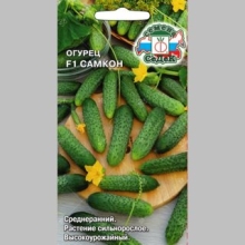 Огурец Самкон F1