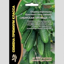 Огурец Сибирская Гирлянда F1