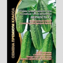Огурец Верность F1 (большой пакет)