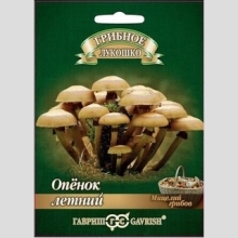 Грибы - Опенок летний на древесной палочке (большой пакет)