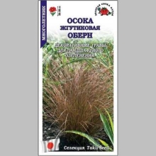 Осока Оберн жгутиковая