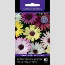 Остеоспермум Акилла Гранд Каньон Микс