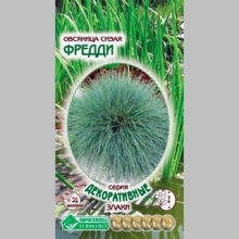 Овсяница Фредди сизая