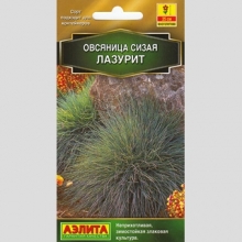 Овсяница Лазурит сизая