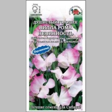 Горошек Вилла Рома Невинность (душистый)