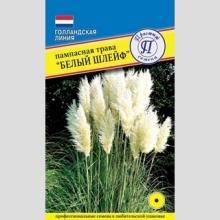 Пампасная трава Белый Шлейф
