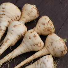 Пастернак Круглый